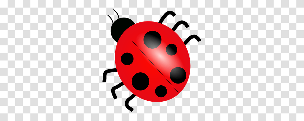 Ladybug Animals, Ball, Dice, Game Transparent Png