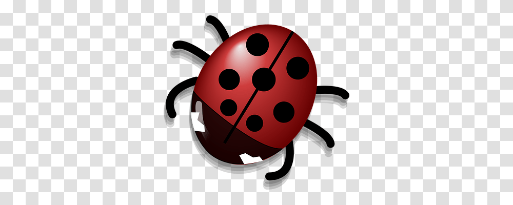 Ladybug Technology, Ball, Sphere, Dice Transparent Png