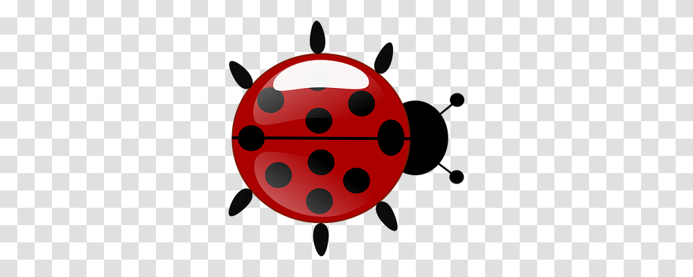 Ladybug Animals, Dice, Game Transparent Png