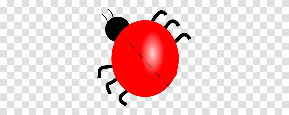 Ladybug Emotion, Sphere, Ball, Balloon Transparent Png