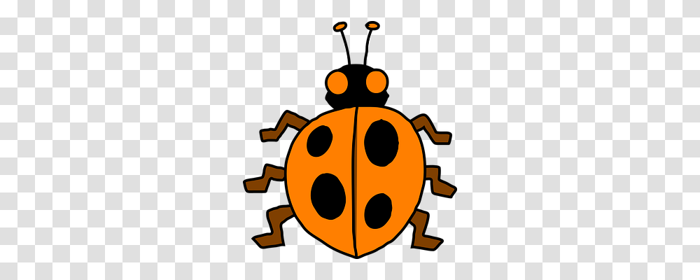 Ladybug Animals, Halloween, Machine, Pumpkin Transparent Png