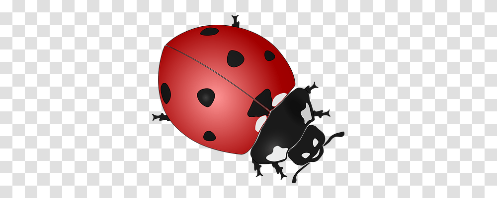Ladybug Animals, Ball, Sport, Sports Transparent Png