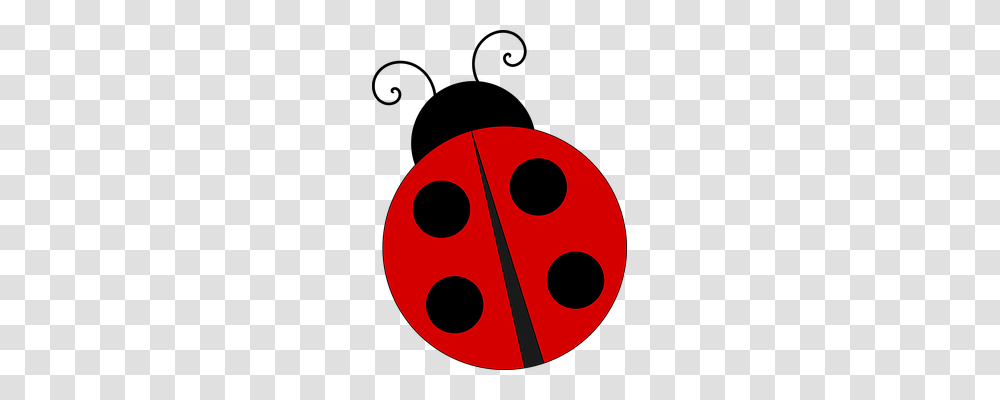 Ladybug Nature, Dice, Game, Disk Transparent Png