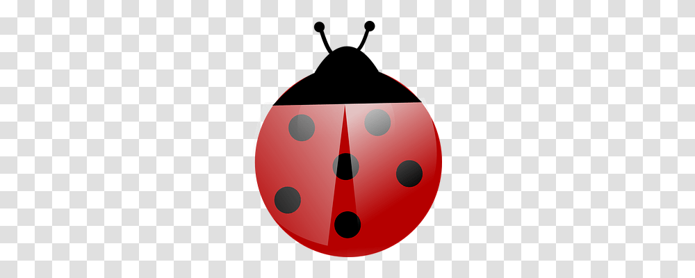 Ladybug Animals, Dice, Game, Disk Transparent Png