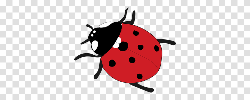 Ladybug Animals, Weapon, Food, Bomb Transparent Png