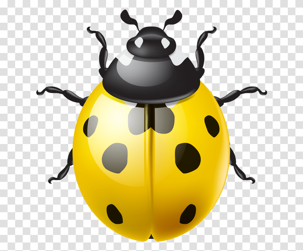 Ladybug, Animal, Invertebrate, Insect, Dung Beetle Transparent Png