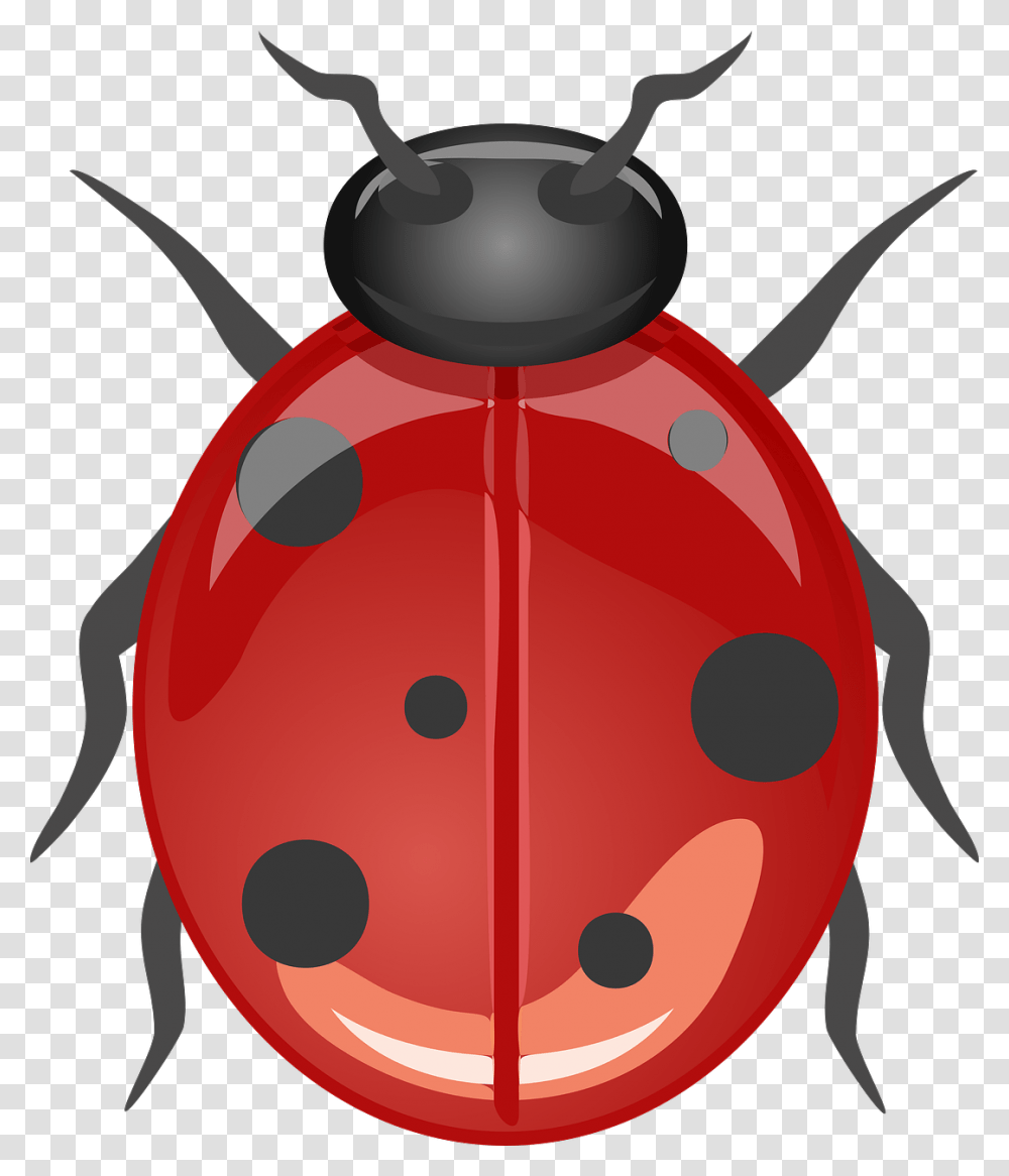 Ladybug Beetle Lucky Ladybug Animal Insect Red 10 Animals No Bone, Sport, Sports, Outdoors Transparent Png