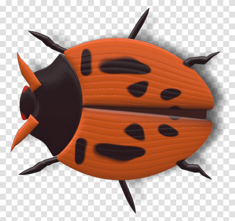 Ladybug Black And Red Ladybird Beetle, Animal, Insect, Invertebrate, Transportation Transparent Png