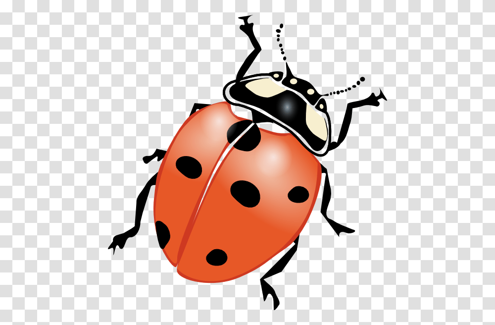 Ladybug Clip Art Free Vector, Insect, Invertebrate, Animal, Wasp Transparent Png