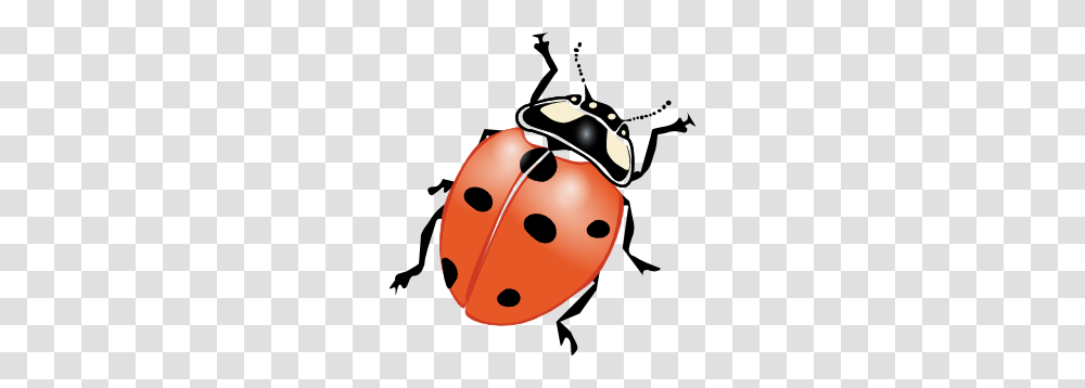 Ladybug Clip Art, Insect, Invertebrate, Animal, Wasp Transparent Png