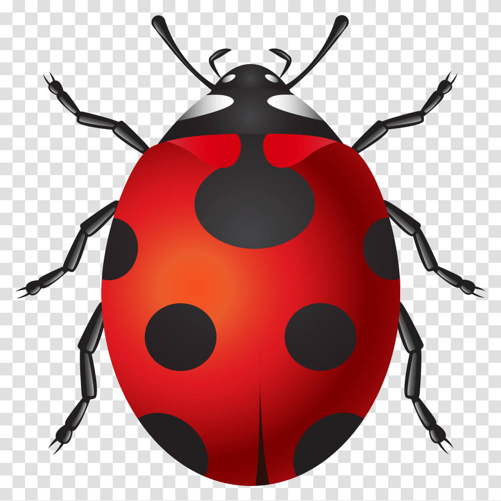 Ladybug Clip Art, Tick, Bomb, Weapon, Weaponry Transparent Png