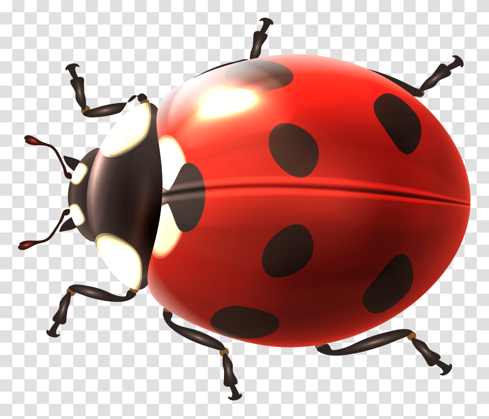 Ladybug Clip Art Transparent Png