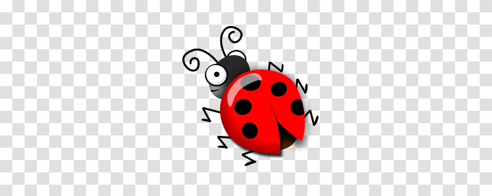 Ladybug Clipart Draw, Giant Panda, Label Transparent Png