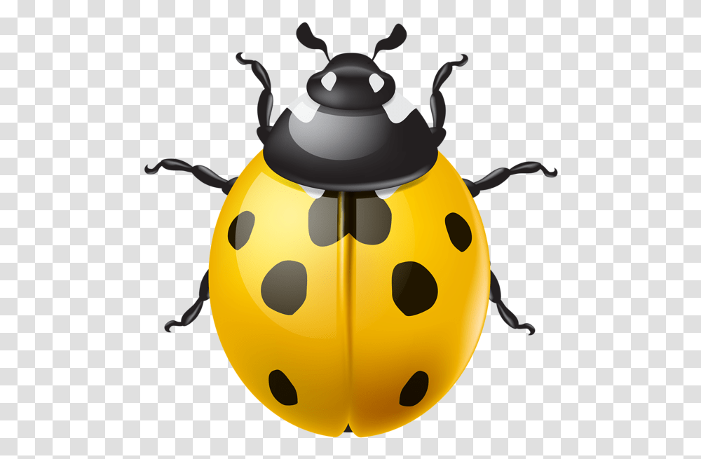 Ladybug Clipart Green Ladybug Ladybug, Animal, Insect, Invertebrate, Dung Beetle Transparent Png