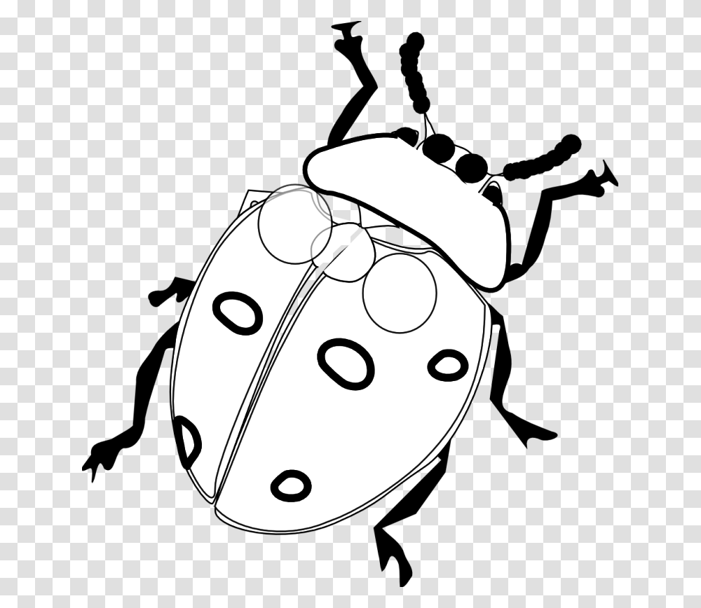 Ladybug Clipart Pencil, Label, Mouse, Electronics Transparent Png