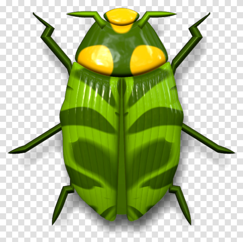 Ladybug Dark And Light Green Beetle, Insect, Invertebrate, Animal, Grasshopper Transparent Png