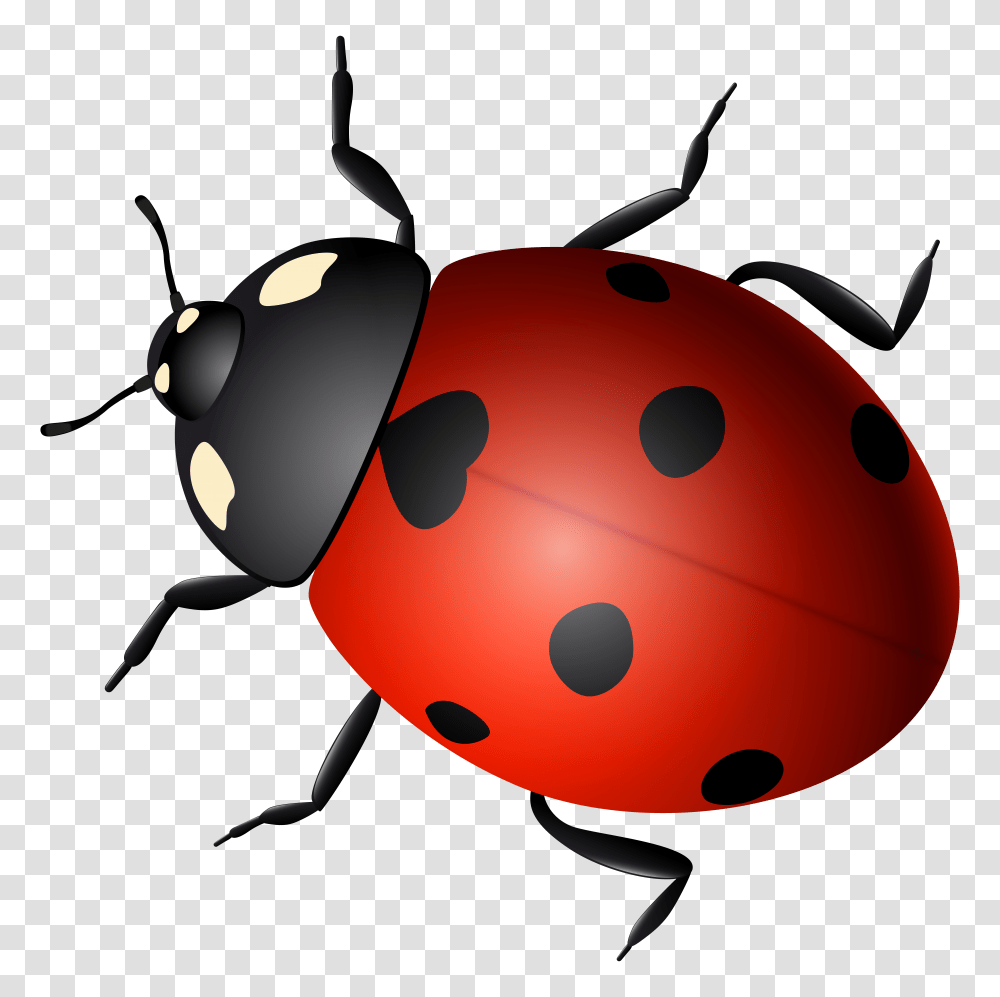 Ladybug Decorative, Game, Jigsaw Puzzle Transparent Png