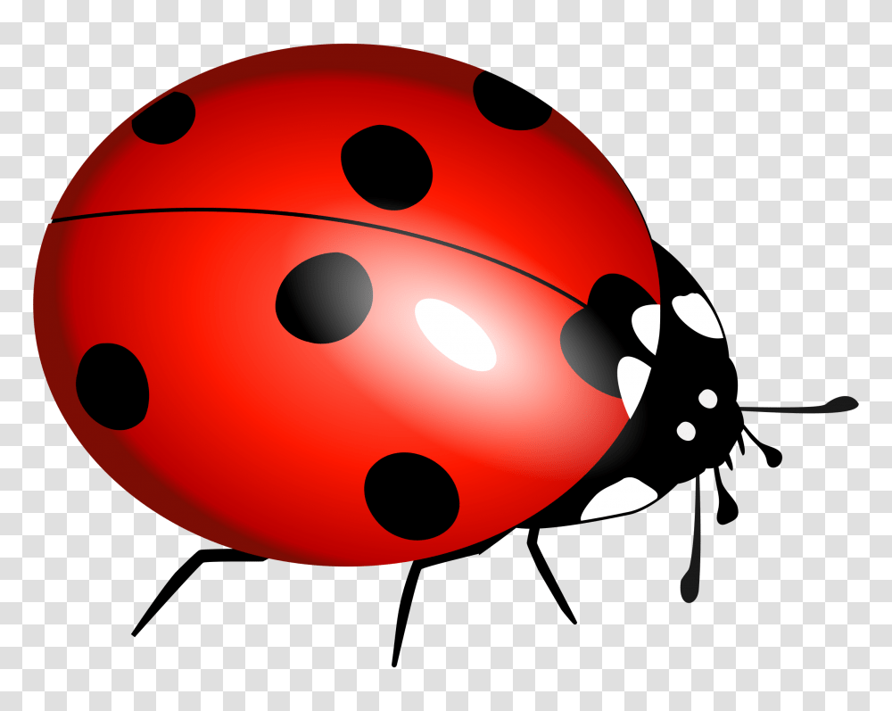 Ladybug Flying Clipart, Ball, Sport, Sports, Bowling Transparent Png