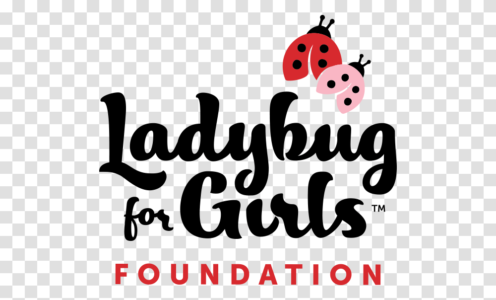 Ladybug For Girls Foundation Inc Ladybug For Girls, Giant Panda, Bear, Wildlife Transparent Png