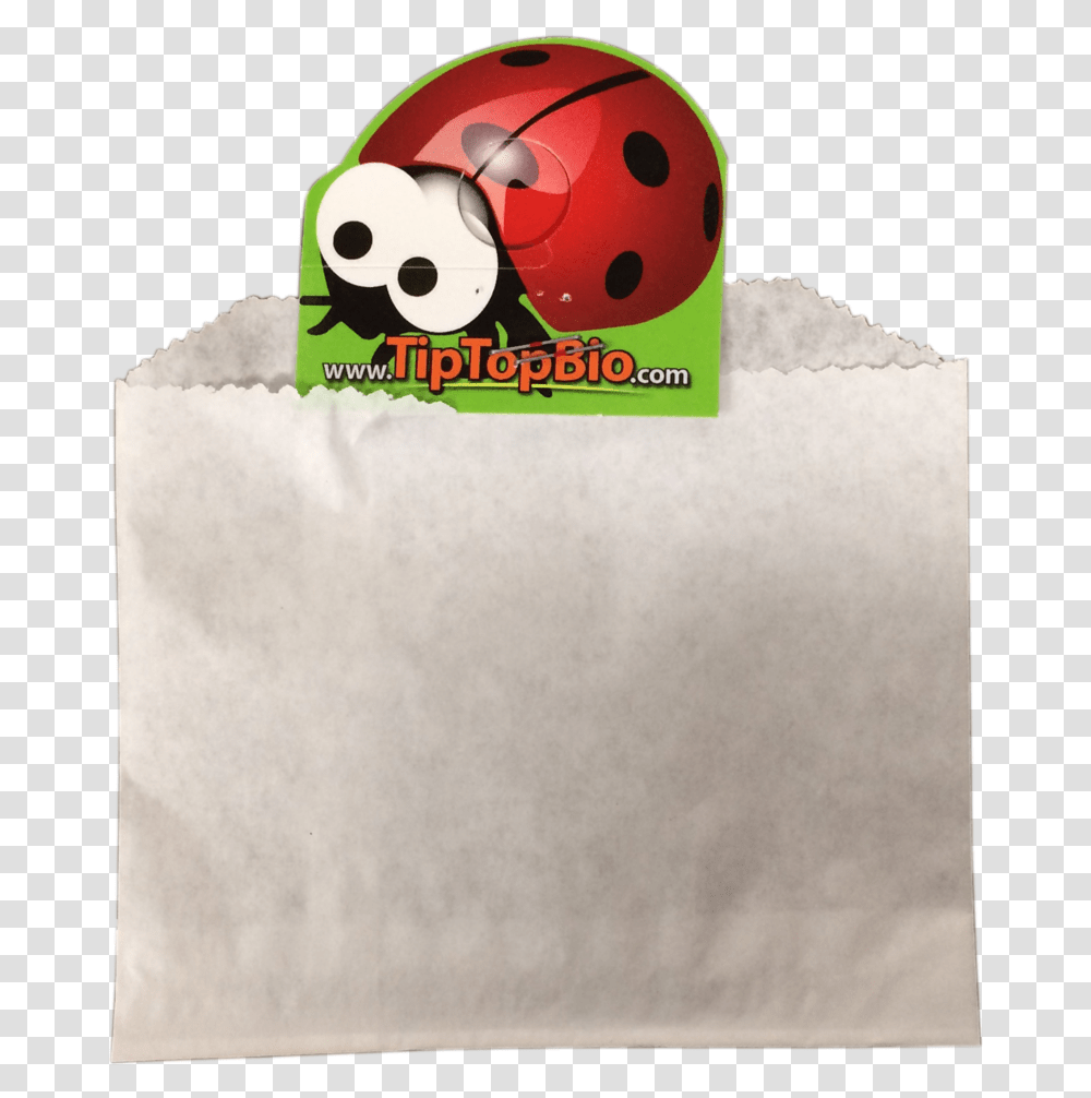 Ladybug, Giant Panda, Bear, Wildlife, Mammal Transparent Png