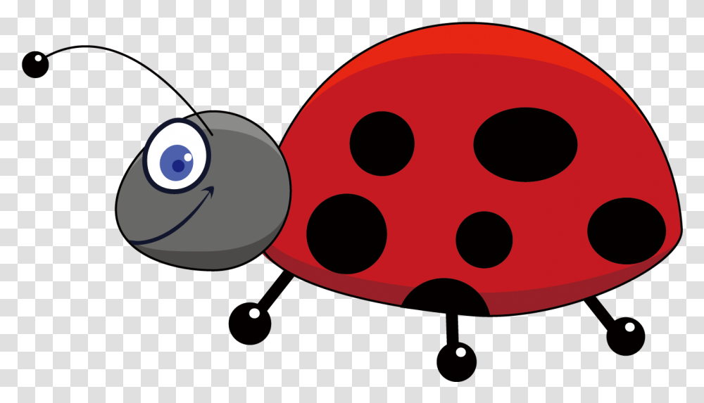 Ladybug Insect Download Image Insects Cartoons, Face, Photography Transparent Png