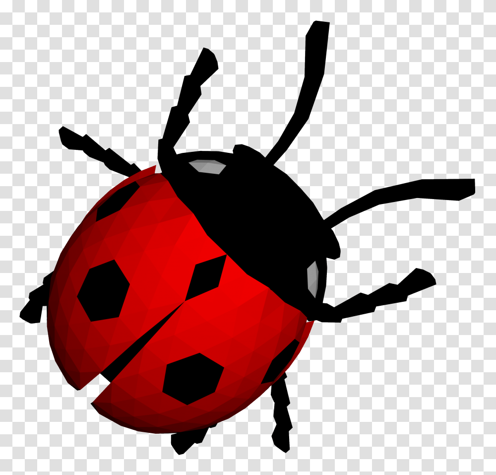 Ladybug, Insect, Invertebrate, Animal Transparent Png