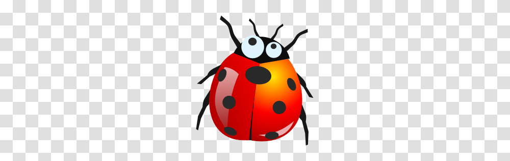 Ladybug, Insect, Invertebrate, Animal, Wasp Transparent Png
