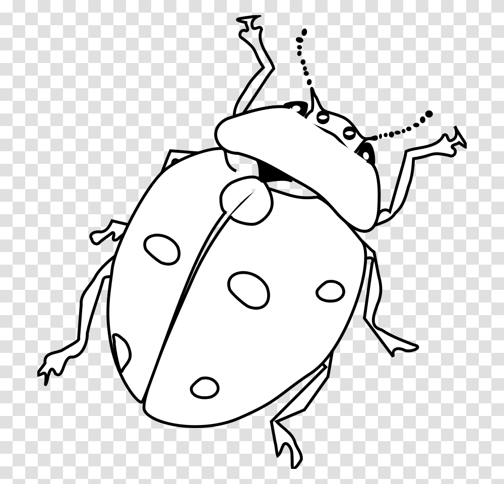 Ladybug Line Art Clipart For Web, Stencil, Wasp, Insect, Invertebrate Transparent Png