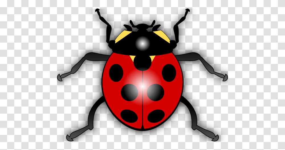 Ladybug Outline Clipart, Person, Human, Animal Transparent Png