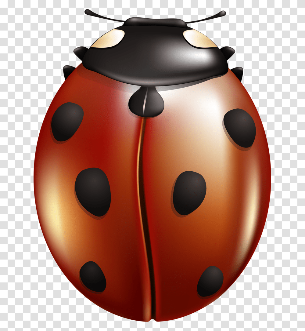 Ladybug, Plant, Vegetable, Food, Pumpkin Transparent Png