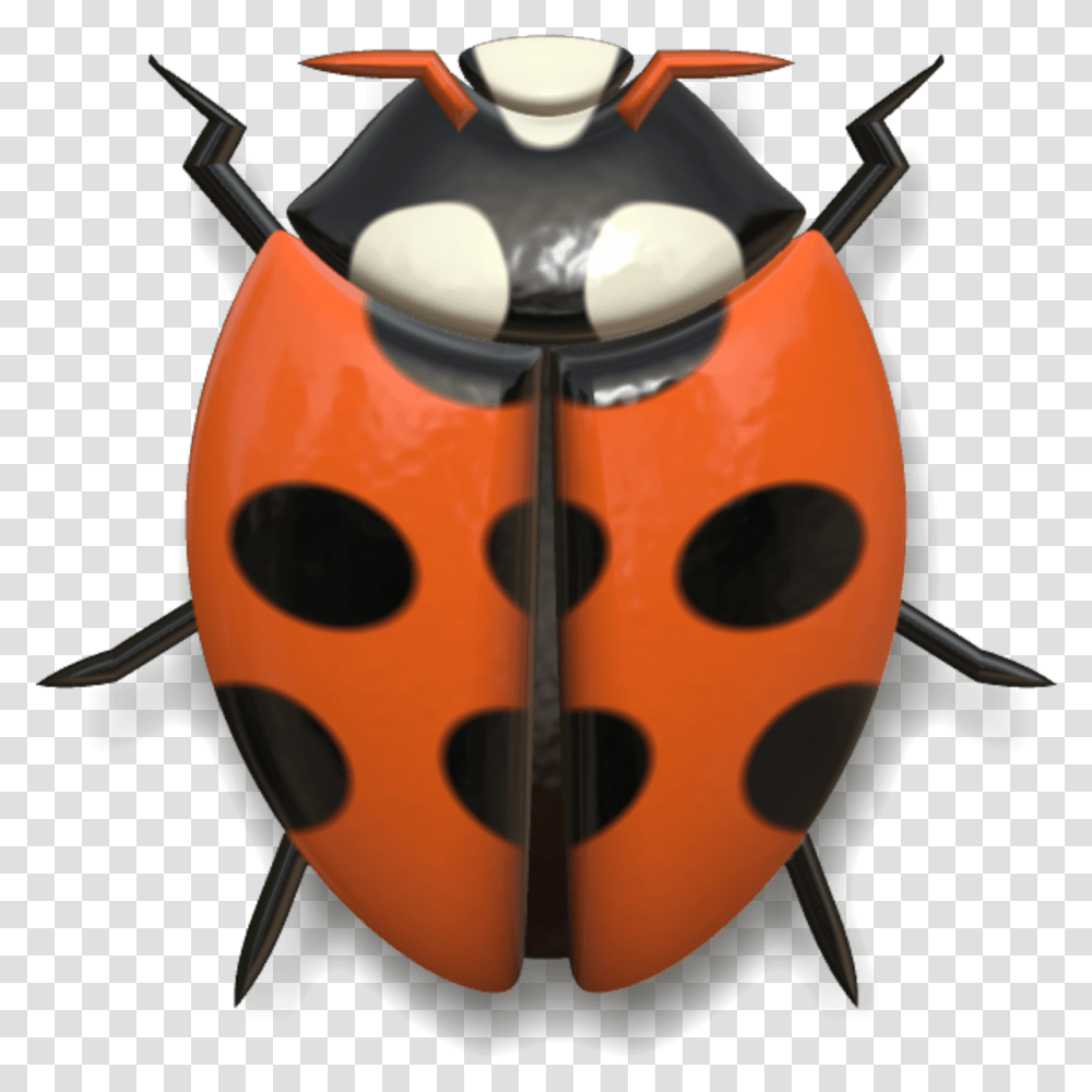 Ladybug Red And Black Head Up Head Of A Ladybug, Leisure Activities, Pottery, Jar, Table Transparent Png