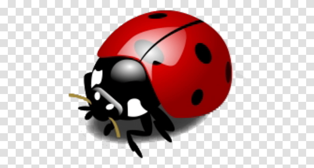 Ladybug Vector, Apparel, Helmet, Sport Transparent Png
