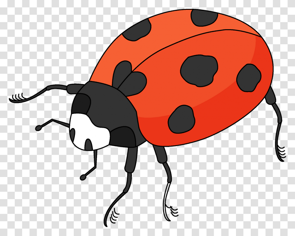 Ladybug, Wasp, Bee, Insect, Invertebrate Transparent Png