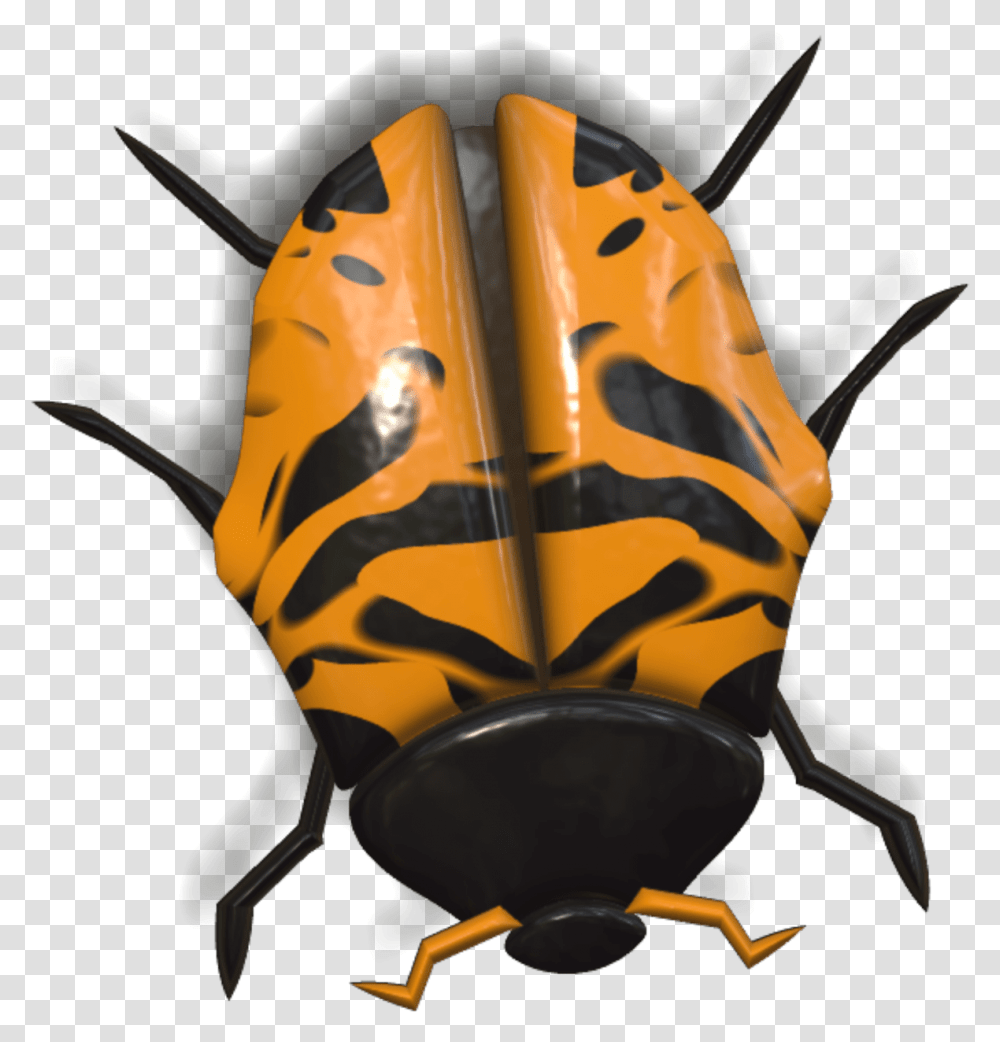 Ladybug Yellow And Black Head Down Ladybird Beetle, Animal, Insect, Invertebrate Transparent Png