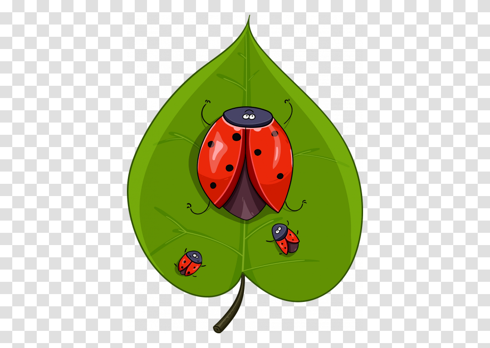 Ladybugs Leaf Ladybird Beetle, Plant, Fruit, Food, Vegetable Transparent Png