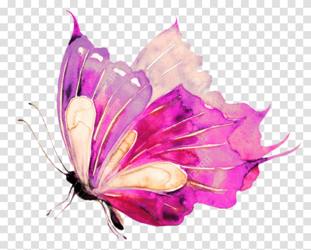Ladymc Butterfly Watercolors Pink Watercolor Blue Butterfly, Plant, Flower, Blossom, Rose Transparent Png