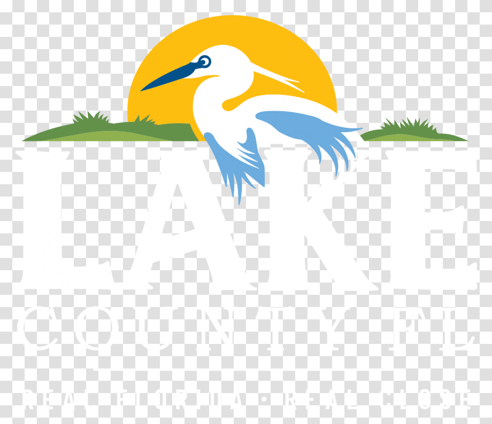 Lake County Fl Logo, Outdoors, Bird, Animal Transparent Png
