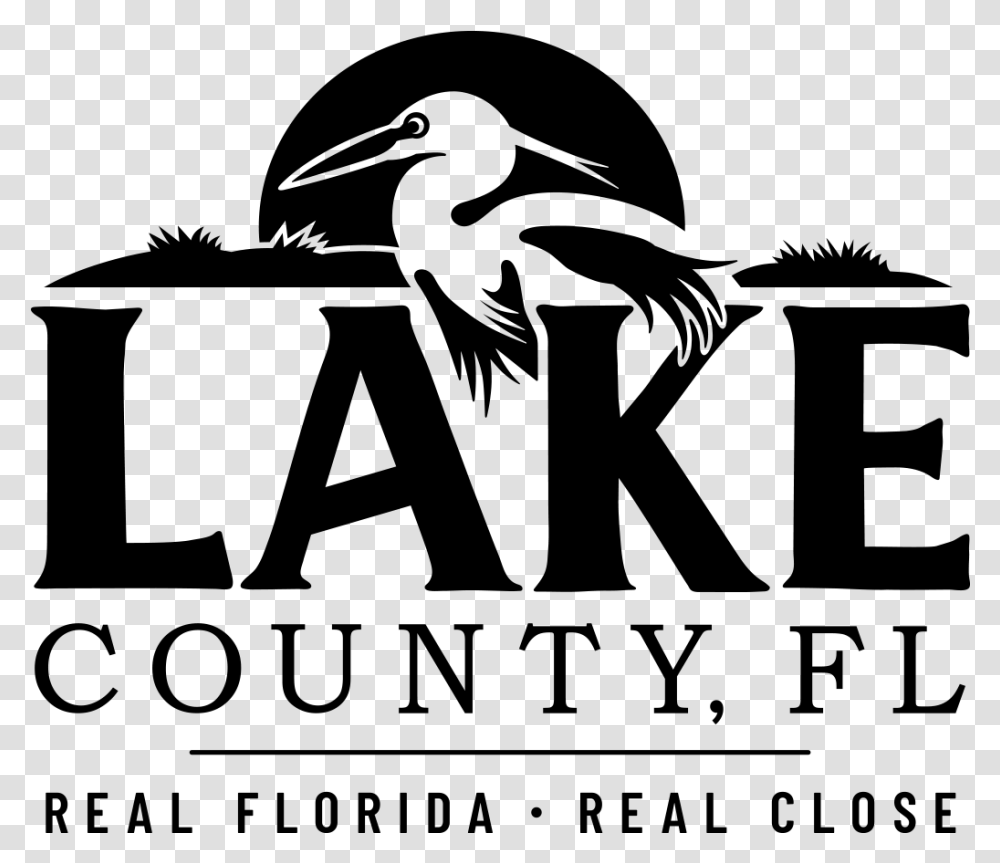 Lake County Fl Pelican, Gray, World Of Warcraft Transparent Png