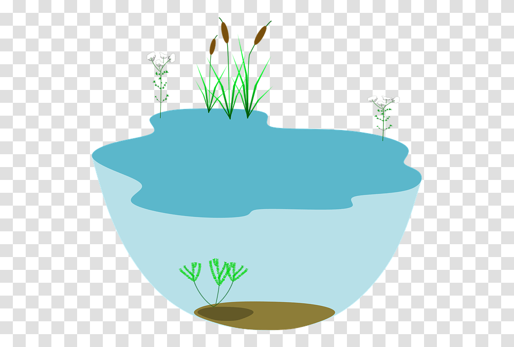 Lake Ecosystem Ecosystems Water Water, Outdoors, Nature, Land, Bowl Transparent Png