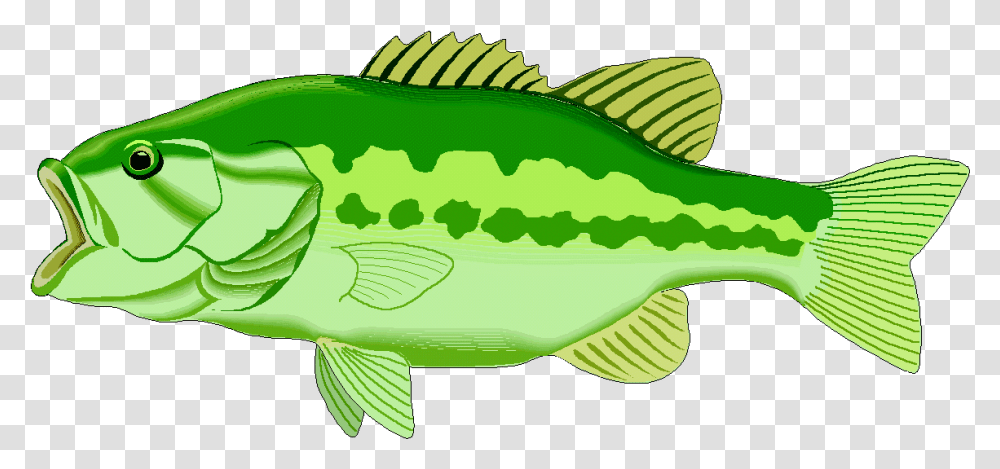 Lake Fish Clipart Explore Pictures Bass Fish Clip Art, Animal, Tuna, Sea Life, Bonito Transparent Png