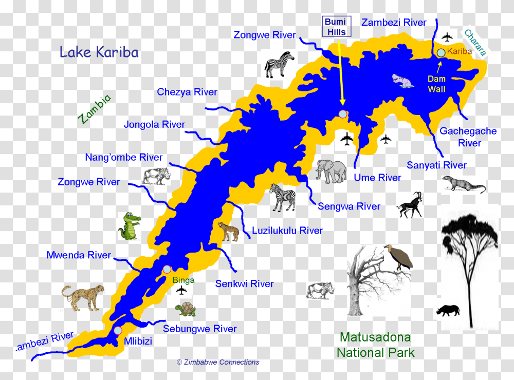 Lake Kariba Before Dam, Bird, Animal, Plot, Map Transparent Png