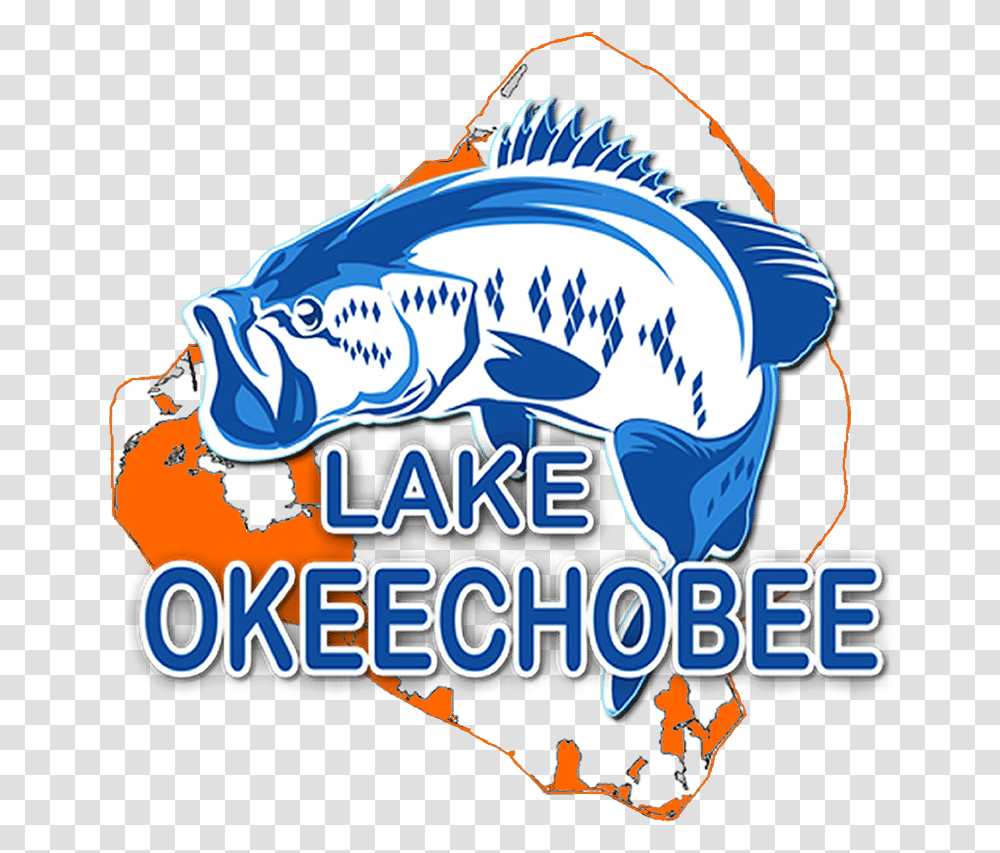 Lake Okeechobee Bass Fishing Graphic Design, Animal, Water, Advertisement, Aquatic Transparent Png