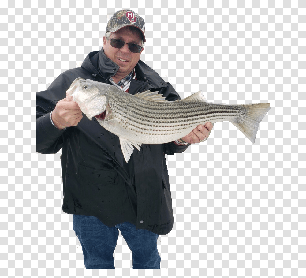 Lake Texoma Fishing Report Fisherman, Person, Human, Animal, Sunglasses Transparent Png
