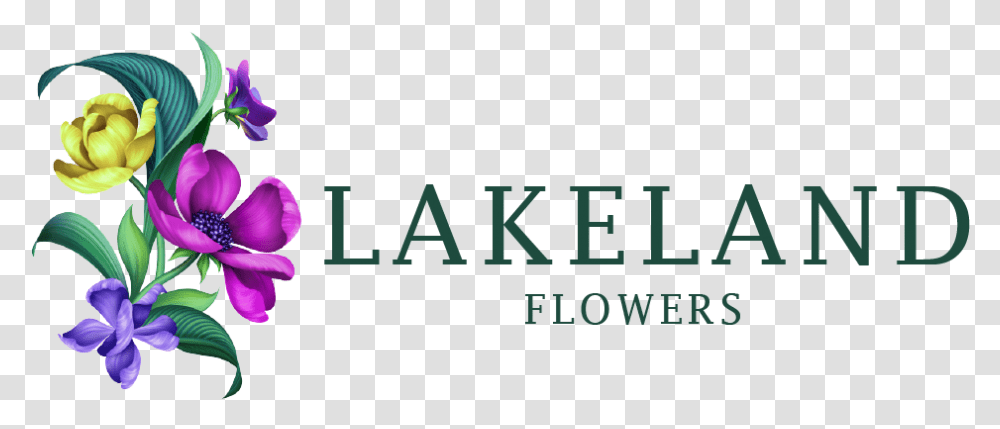 Lakeland Fl Florist Flower, Alphabet, Word, Face Transparent Png