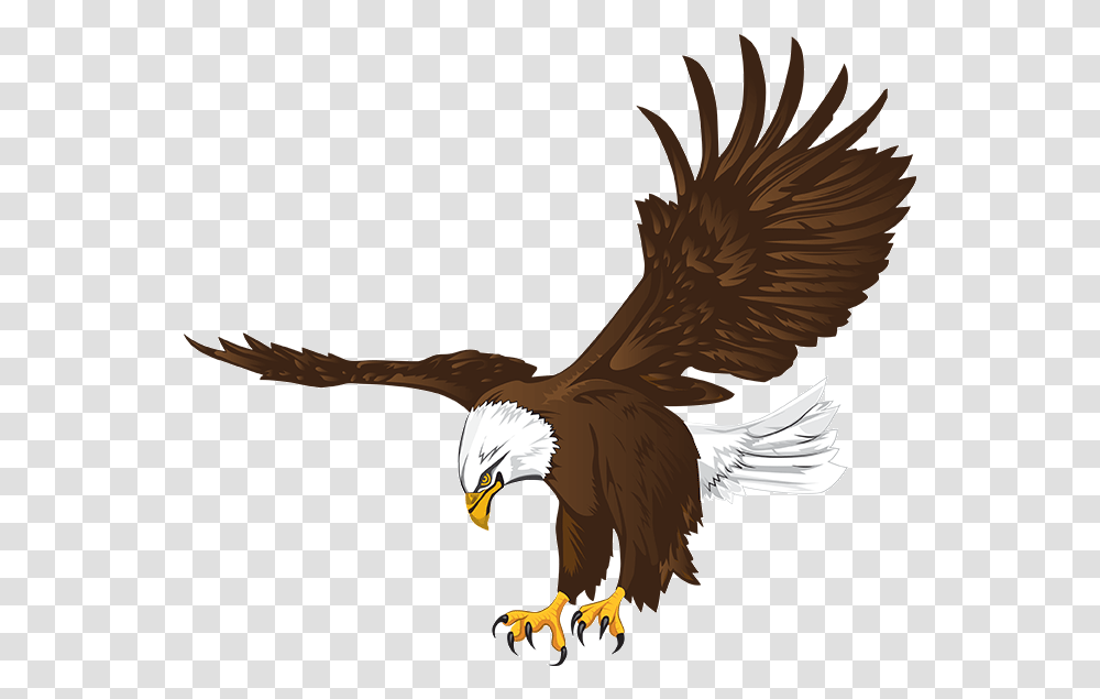 Lakes Eagles Logo, Bird, Animal, Vulture, Bald Eagle Transparent Png
