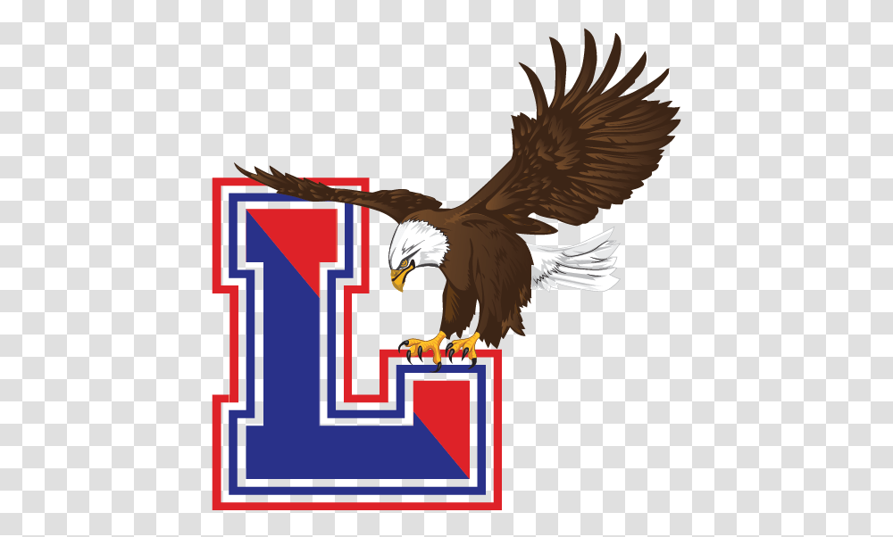 Lakes Eagles Logo Images, Bird, Animal, Bald Eagle, Vulture Transparent Png