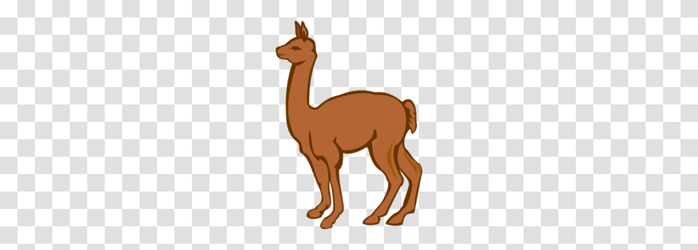 Lama Clip Art, Mammal, Animal, Llama, Alpaca Transparent Png