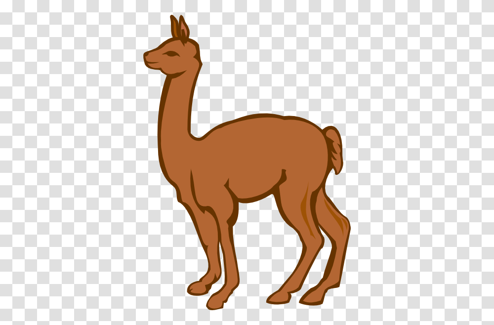 Lama Clipart Cute, Mammal, Animal, Antelope, Wildlife Transparent Png