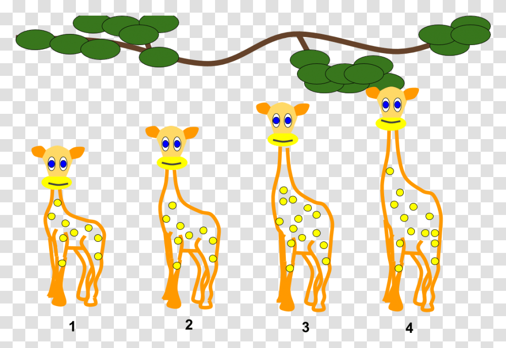 Lamarckian Inheritance Giraffes Animal Evolution Clipart, Mammal, Cat, Pet, Egyptian Cat Transparent Png