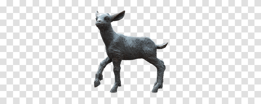 Lamb Goat, Mammal, Animal, Antelope Transparent Png
